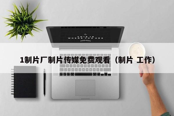 1制片厂制片传媒免费观看(制片 工作)